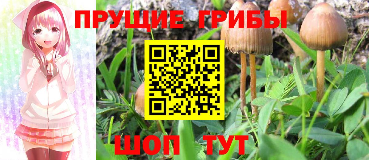 Псилоцибиновые грибы Magic Shrooms  Вход с VPN  Первоуральск 